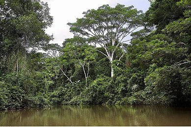 优衣库推出《塞尔达传说：王国之泪》联名T恤